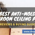 Best Paint for Bathroom Ceiling to Prevent Mold Reviews & Buying Guide