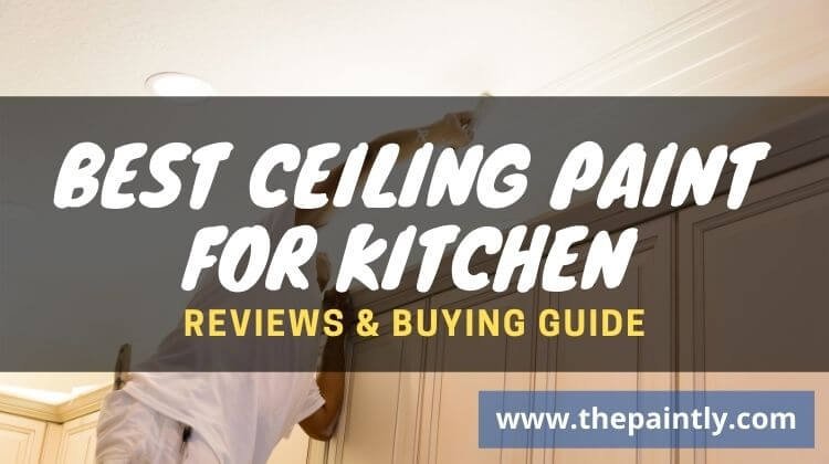 Best ceiling Paint for Kitchen Reviews & Buying Guide