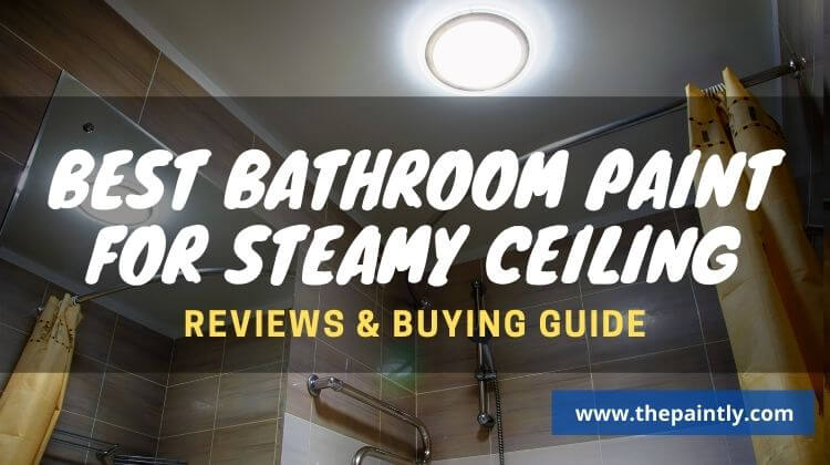 Steamy Bathroom Ceiling Paints, What Type Of Paint To Use In Bathroom Ceiling