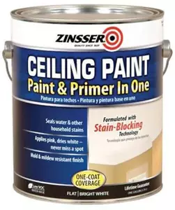 RUST-OLEUM 260967 Ceiling Paint