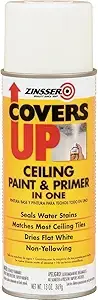 Zinsser Covers Up Ceiling Spray Paint and Primer in One 