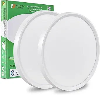 2. FY Wisdom 15.8-Inch 32W Round LED Panel (3480 Lumens) (1)