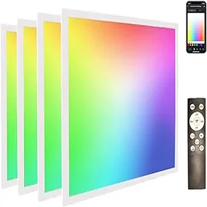 2×2 RGBW Multicolor Flat Panel (WiFi + Alexa) (1)