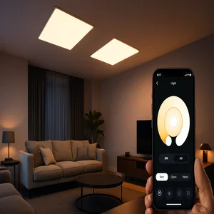 Best WiFi LED Ceiling Panels