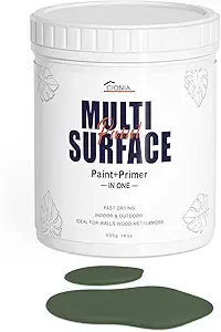 CIONIA All-in-One Paint (1)