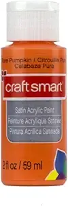 Craft Smart Satin Acrylic Paint (Pure Pumpkin) (1)
