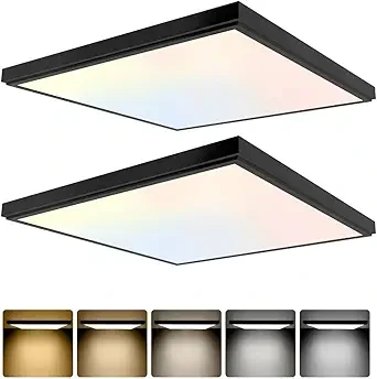GT-Lite 2 Pack 2×2 Flush Mount , Drop Ceiling Panels (5 CCT, 4200 lm) (2)