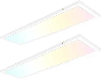 Hykolity 1x4 FT Edge-Lit Panel (48W, Selectable CCT) (1)