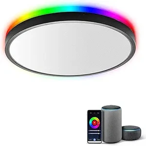 Taloya WiFi Smart Ceiling Light (1)