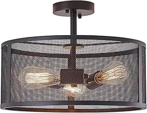Femony 3-Light Industrial Cage Flush Mount (1)
