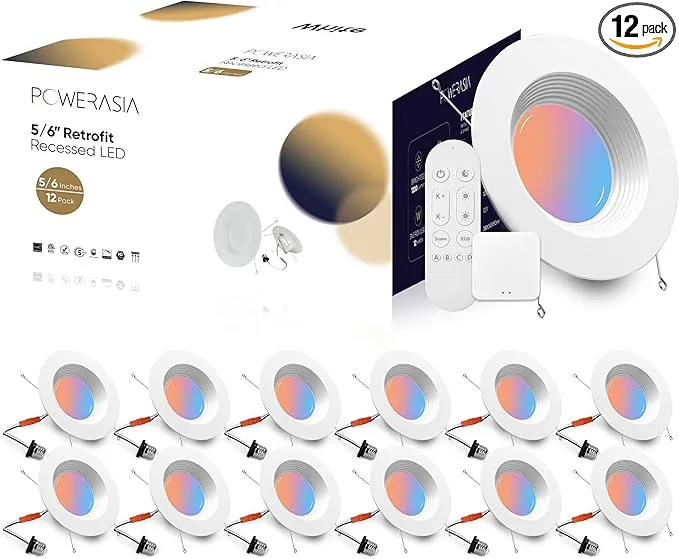 JJC 5 by 6 Smart LED Recessed Lights (Budget Pick)