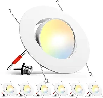 Juno 928 Series Adjustable Recessed Light for Sloped Ceilings (1)