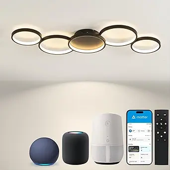 SKY ANGLE Matter-Compatible Smart Ceiling Chandelier (1)