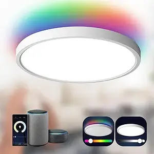 TALOYA Smart Flush Mount (Alexa Google) – Best Smart Choice (1)