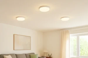 best flush mount led ceiling lights