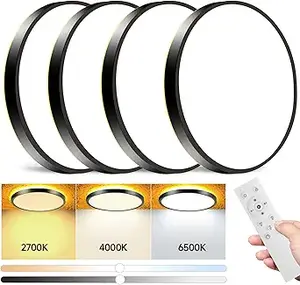 Ceiling Lights With Remote Control (1)