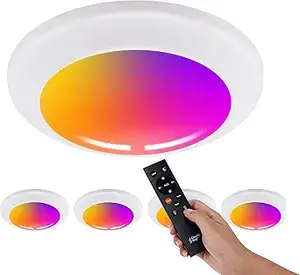 Cloudy Bay Color Changing Light Fixture (1)
