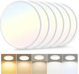 Flush-Mount LED Ceiling Lights (Best for Modern Christmas Rooms) (1)