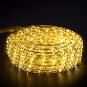 GuoTonG LED Rope Lights (1)